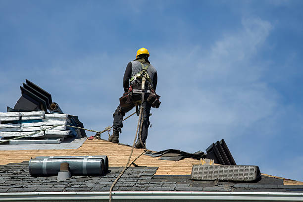 Professional Storm Damage Roof Repair technician working in Evanston, IN